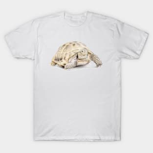 Tortoise Drawing T-Shirt